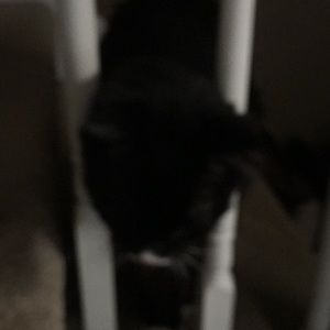 Meet your Posher, Cortney